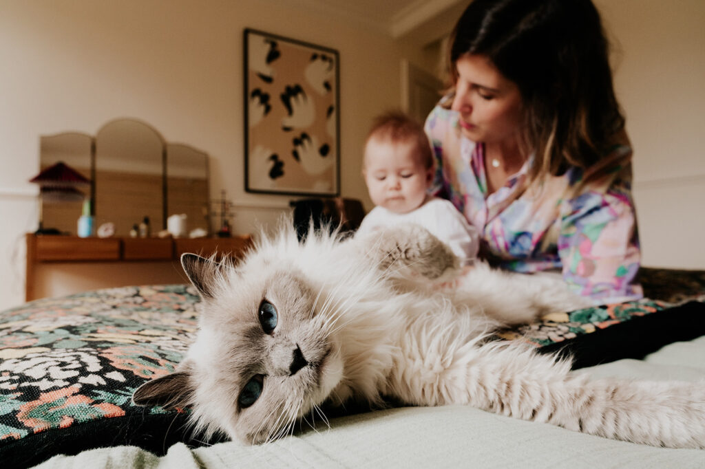 gros plan sur le chat. maman et bébé en arrière plan Photographe Toulouse famille enfant bébé reportage parents a la maison
