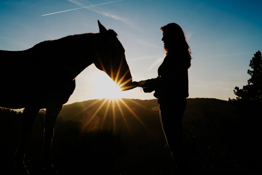 Portrait silhouette femme avec son cheval au coucher du soleil, Lauragais
